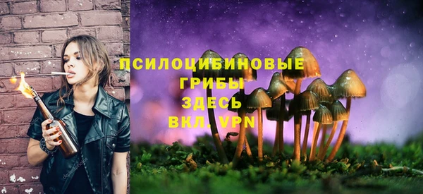 таблы Корсаков